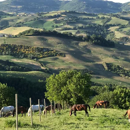 Agriturismo 