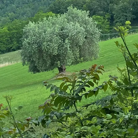 Agriturismo 